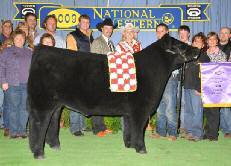 full sister to the 2009 National Western Grand Champion Steer as well as the AI sire, Denver Heat, that was raised by Granny Creek.
