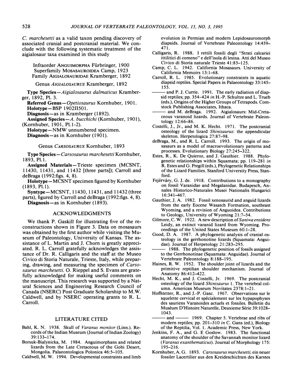 528 JOURNAL OF VERTEBRATE PALEONTOLOGY, VOL. 15, NO.3, 1995 C. marchesetti as a valid taxon pending discovery of associated cranial and postcranial material.