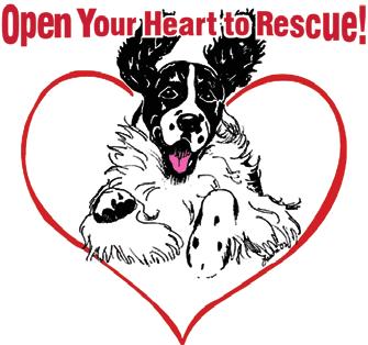 1st Quarter 2015 Springer Tails Mid-Atlantic English Springer Spaniel Rescue is a volunteer-based 501(c)3 animal welfare organization dedicated to rescuing and re-homing English Springer Spaniels