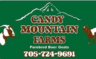 Lot 4 Buyers Choice Choice of ONE Purebred Buck or Doe Kid OR TWO Percentage Doe Kids from 2016 Kid Crop Candy Mountain is excited to be participating in the 2016 CMGA Share Your Herd Sale.