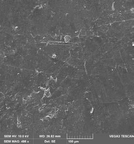 mikrografiji površine loma ishodnog PCL-a (slika 44) vidljivi su izdanci koji su