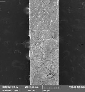 Slika 49. SEM mikrografija površine loma PLA polimera nakon 6.
