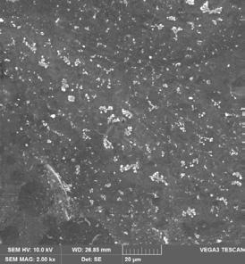 2000x 4000x Slika 51. SEM mikrografije površine PCL/PLA polimerne mješavine nakon 6.
