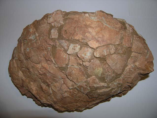 Dinosaur egg 71-65 million years old.