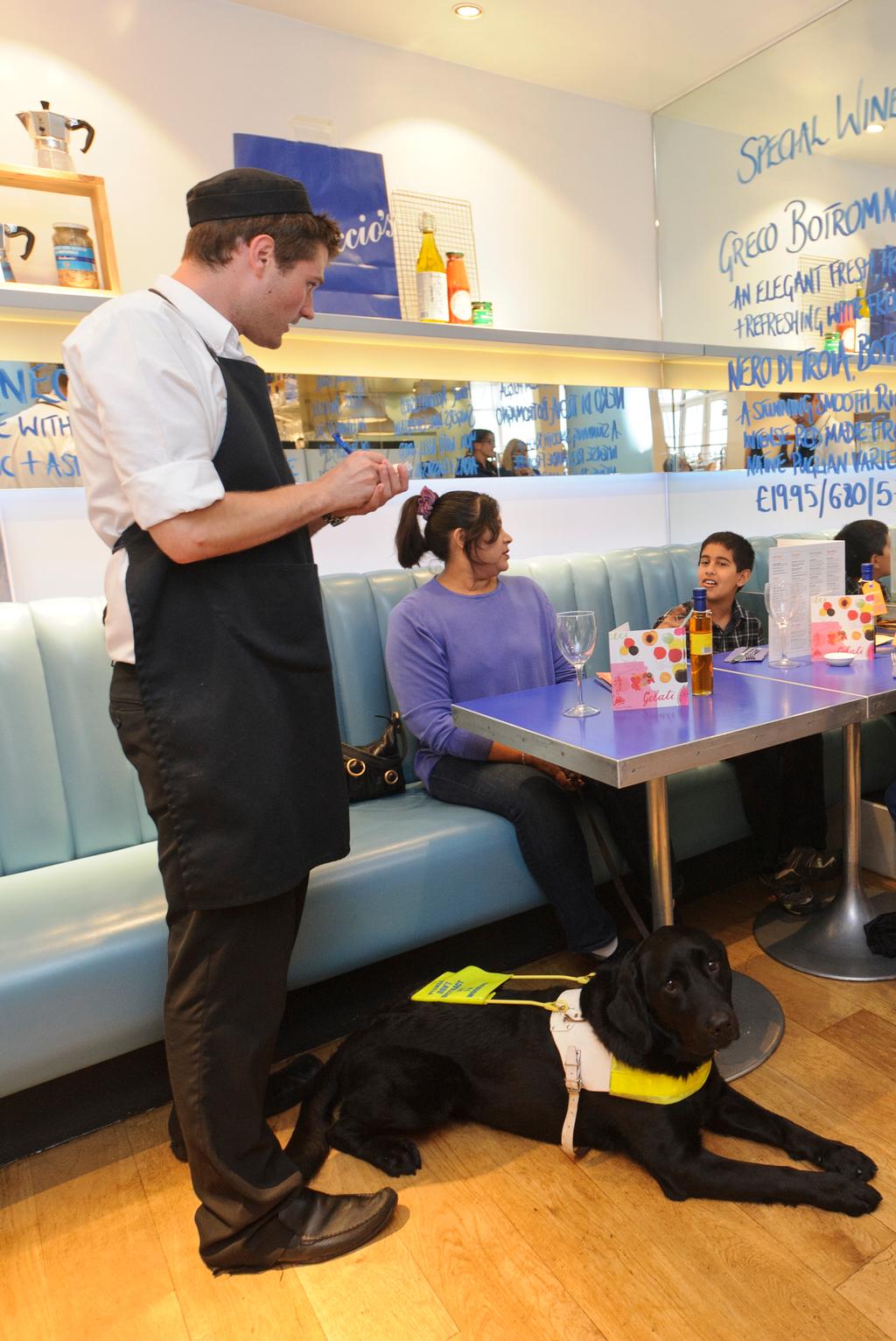 Access to food premises for guide dog owners