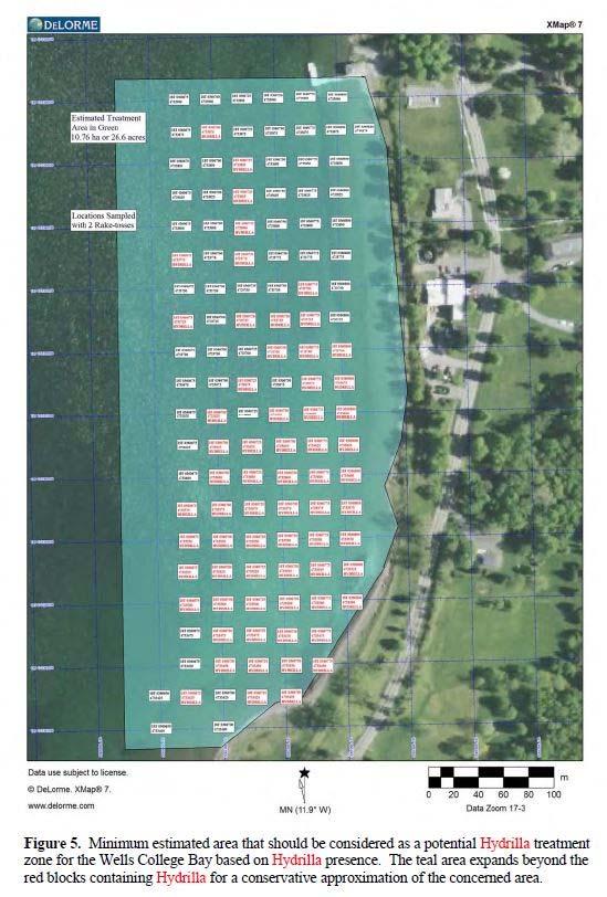 Survey Results Initial recommendations to treat 27 acres based on positive identification of Hydrilla Three treatment options