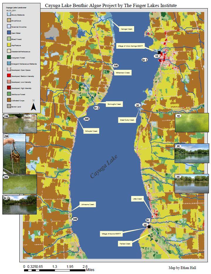 Sites and Approach Three sites in Cayuga Lake from Union Springs to Aurora Nearshore (W, E) 2 m depth Middle 5 m depth Sample water every three weeks at 9 sites (April Sept)