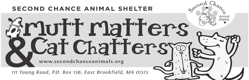 Second Chance Animal Shelter PO Box 136 East Brookfield, MA 01515 Every