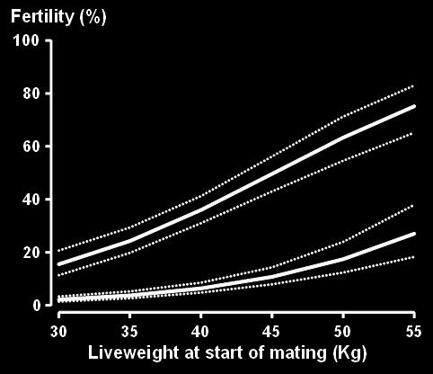 Relationships between live weight at start of mating,