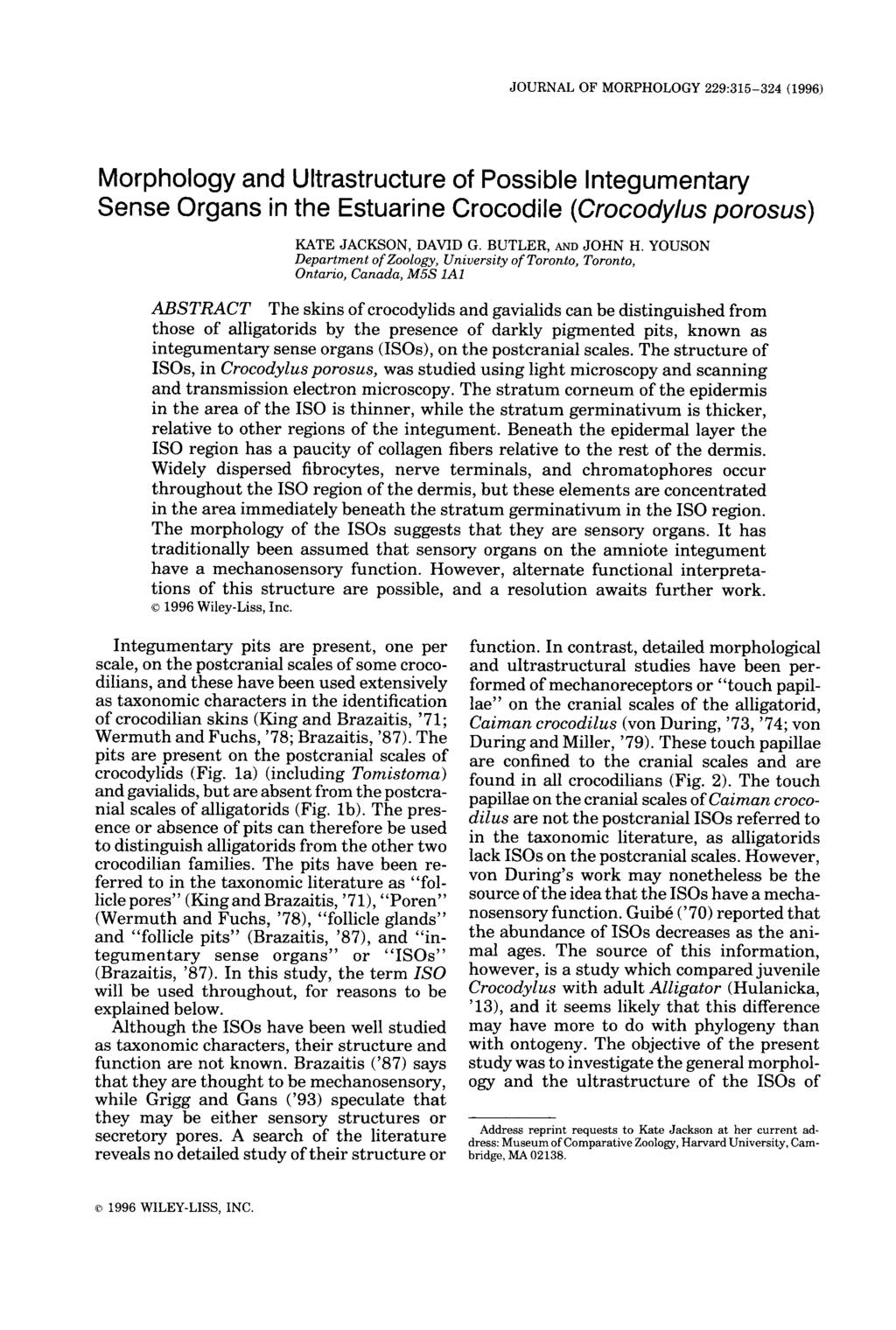 JOURNAL OF MORPHOLOGY 229:315-324 (1996) Morphology and Ultrastructure of Possible Integumentary Sense Organs in the Estuarine Crocodile (Crocodylus porosus) KATE JACKSON, DAVID G. BUTLER, AND JOHN H.