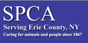 SPCA Serving Erie County and Feral Cat FOCUS: Working Together to Help Feral Cats Compiled by ASPCA and distributed to