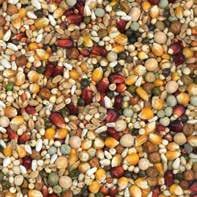 Super mixtures (20kg) We were the first to produce mixtures with small Cribbs maize. The pigeons like it and therefore it is not scattered.