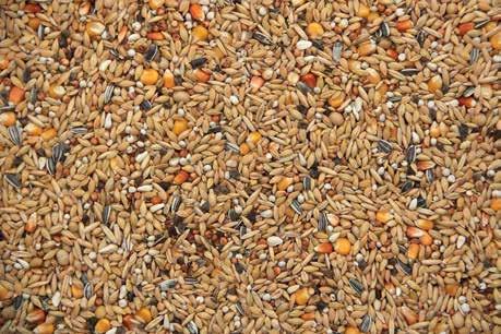 24% White Dari 15% Safflower 14% White rice 10% White wheat 6% Milo Corn 4% Paddy rice 4% Canary seed 4% Lentils 4% Millet 4% Hempseed 3% Buckwheat 2% Hulled oat 2% Mung Beans Nr.