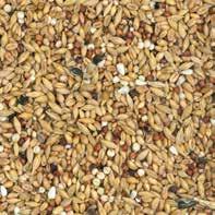 White Dari 2% Tares 2% Buckwheat 1% Safflower 1% Black sunflower seeds Nr.