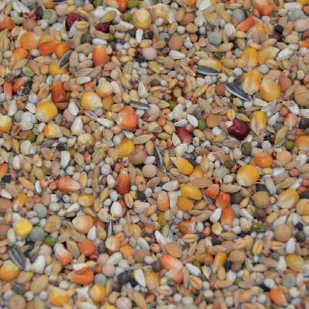 Exclusive mixtures (20kg) Nr.37 Young birds racing exclusive This young bird mix contains 23 different grains, with 4 types of best quality maize.