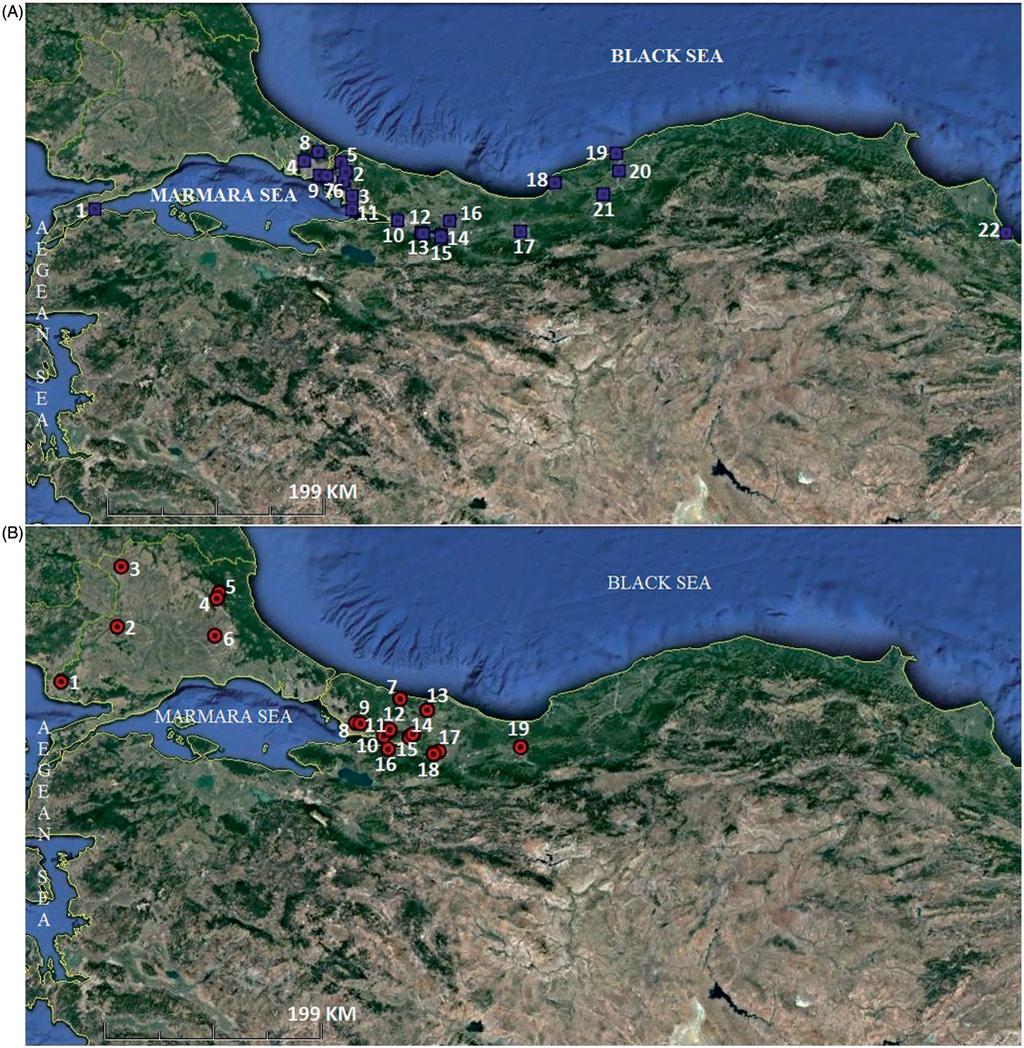 MITOCHONDRIAL DNA PART A 3 Figure 1. Distribution ranges of the P. siculus (A) and P. tauricus (B) species in Turkey. missing data.