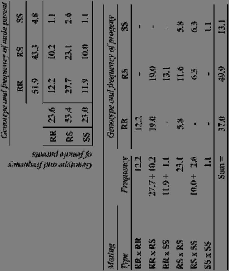 ARR/ARR rams with good genetic merit for production traits that HGMF was able to produce.