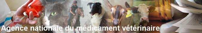 Veterinary medicinal products ANSES-ANMV (French agency for veterinary medicinal products) Delivers, suspends and withdraws marketingauthorisations for veterinary medical products based on collective