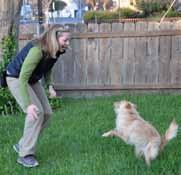 One challenge with a high-energy dog is that the instant you try to praise or reward, he s bouncing off the walls again. With the clicker, an instant of calm elicits a click during the calm behavior.