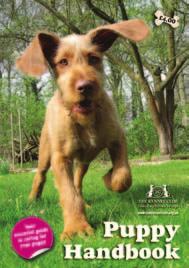 your name. The Puppy Handbook will give you essential advice and information to help you to get off to the best possible start with your puppy.