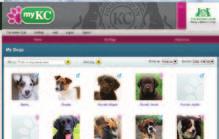 www.mykc.org.uk 0844 463 3991 BRAND NEW online account for dog owners and puppy seekers. Join MyKC and see your dog s heritage and family tree come to life!