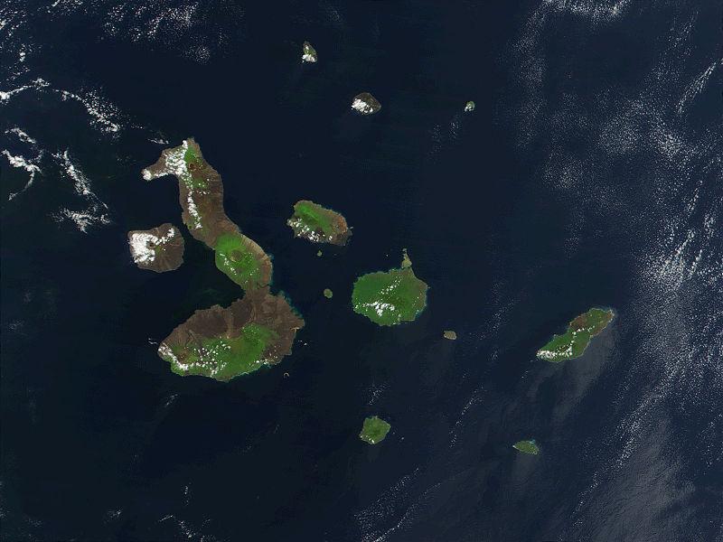 3 Implications Terrestrial species on these islands won t have many relatives nearby.