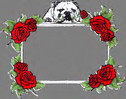 PREMIUM LIST BULLDOG CLUB of NORTHERN CALIFORNIA Licensed by the American Kennel
