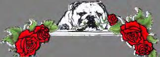 Wednesday, August 23, 2017 PM - Bulldog Club of Northern California Sweepstakes & Obedience/Rally Trials Thursday, August 24, 2017 AM - Santa Cruz Kennel Club All Breed Show Bulldog Breed Judge: Ms.