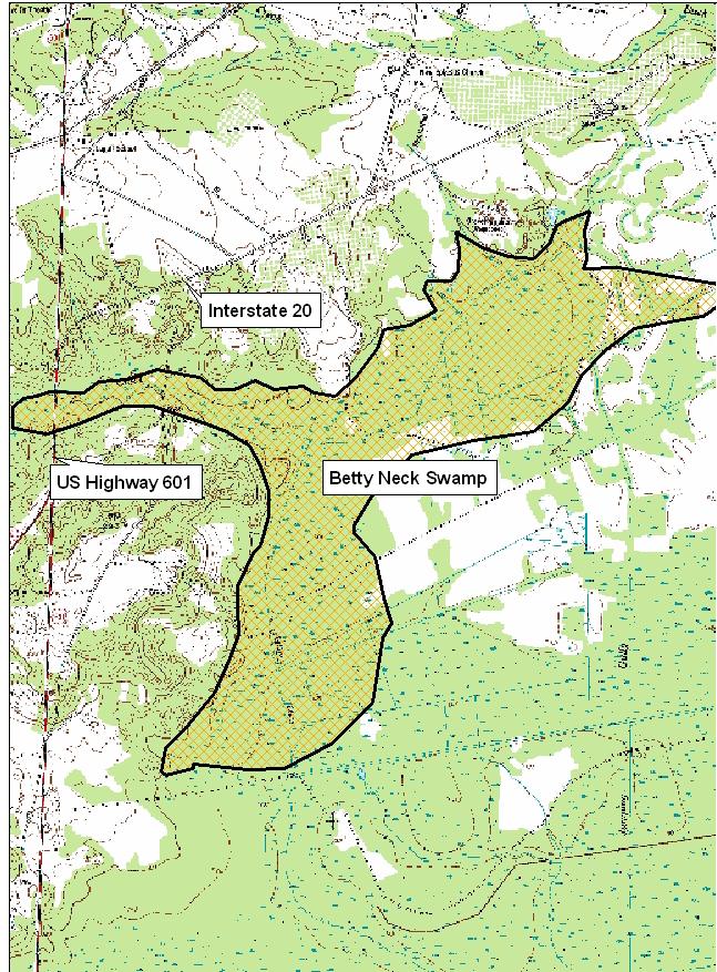 Suggested sampling area for pine