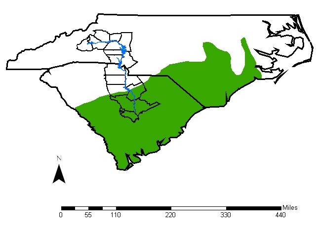 The geographic range of southern hognose snakes (green) in North and South Carolina.