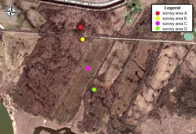 Figure 3.11: A satellite image indicating survey areas within the place of study.