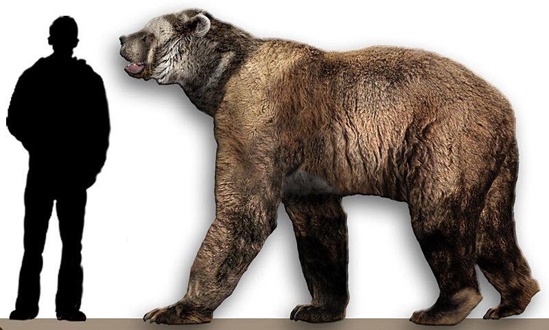 Pleistocene Mammal Extinctions The late Pleistocene witnessed the extinction of 35 genera of large North American mammals.