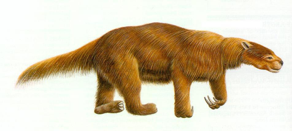Sloth Glossotherium