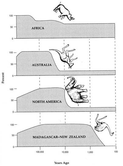 Mass extinctions of large mammals (and large birds) occurred on different continents and