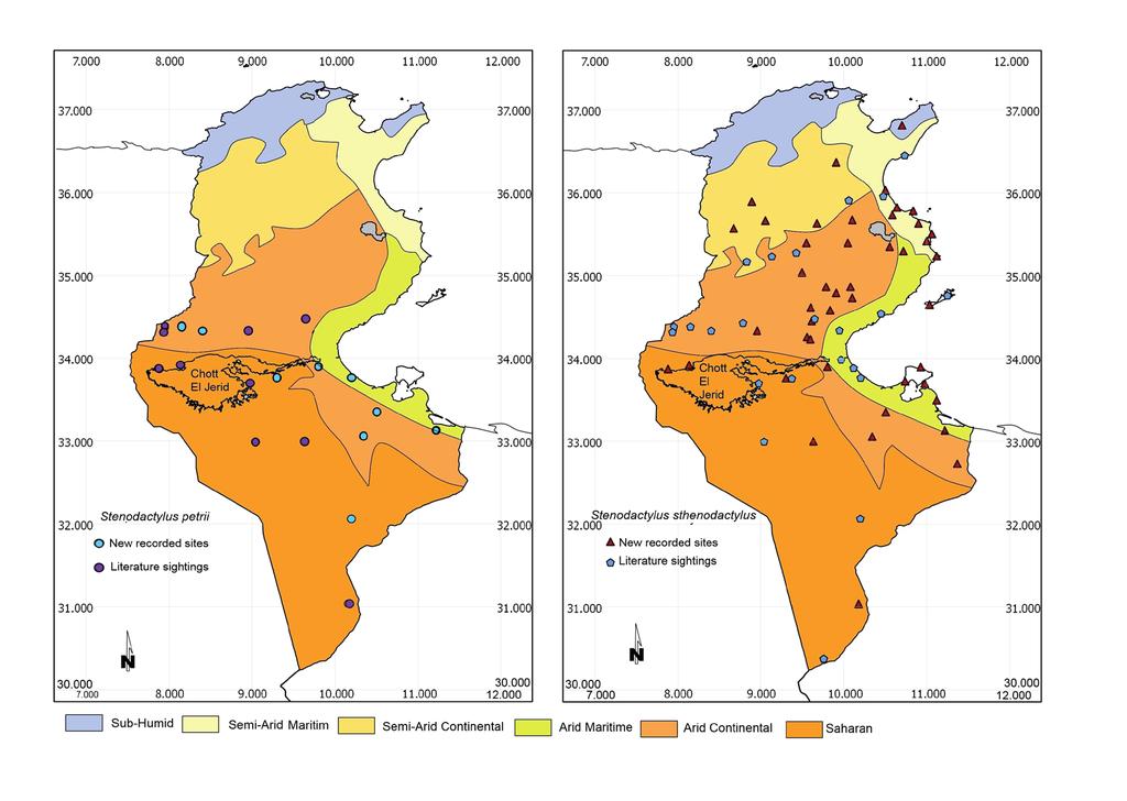 New distribution records of Stenodactylus genus 415 Figure 1.