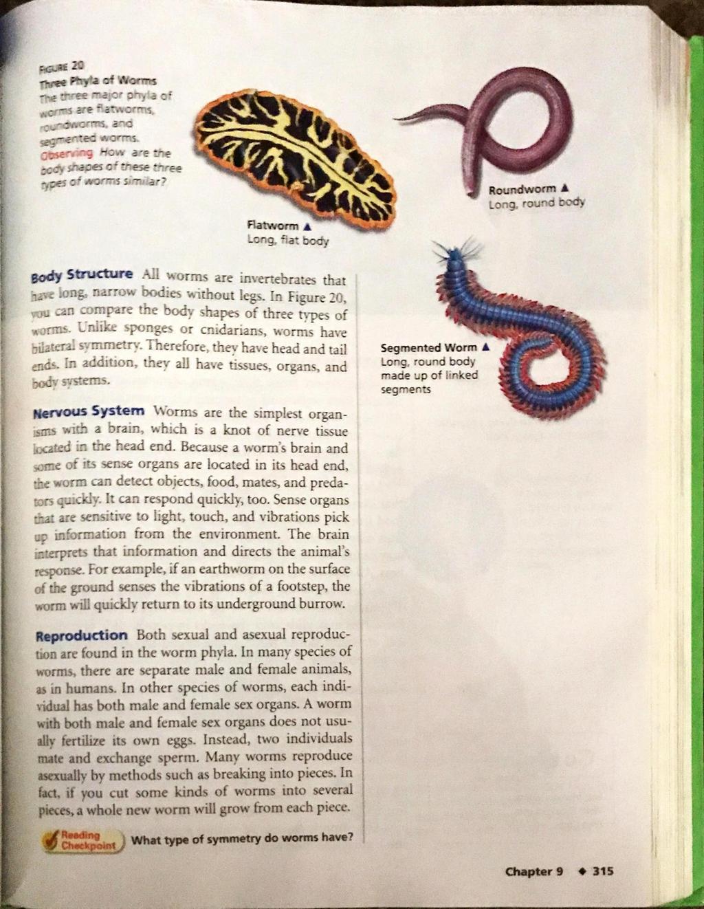 20 *yea of Worms three mar.' physa of acrns ate flatworms. rout worms. and g;rented worms. gaset-ging How are the eco shapes cf tnese three types of worms similar?