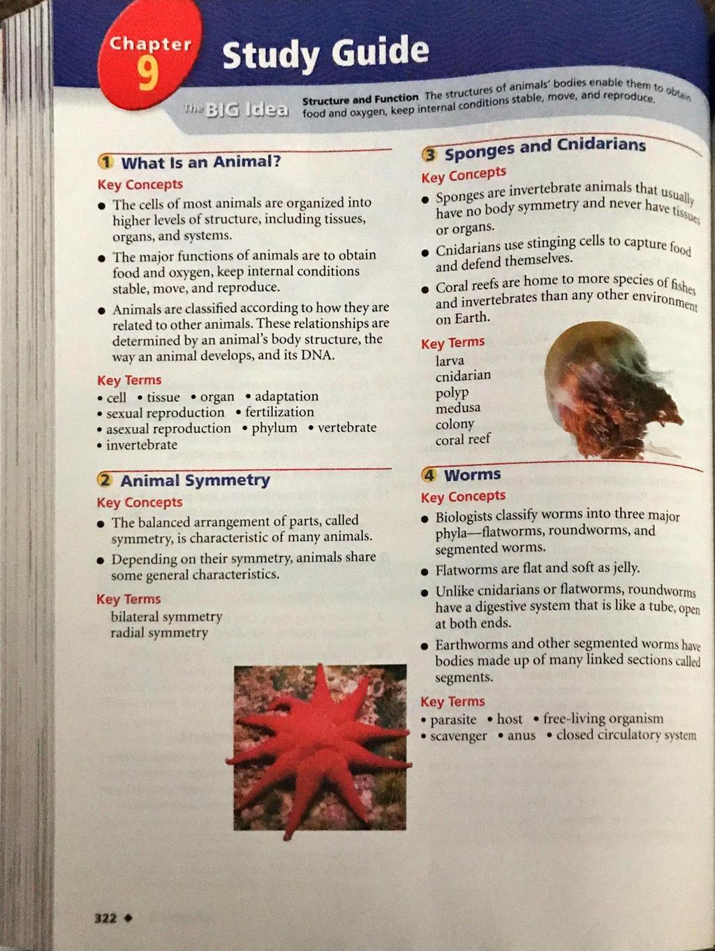 Chapter Study Guide JCJ3?.J 1, What Is an Animal? Key Concepts The cells of most animals are organized into higher levels of structure, including tissues, organs, and systems.