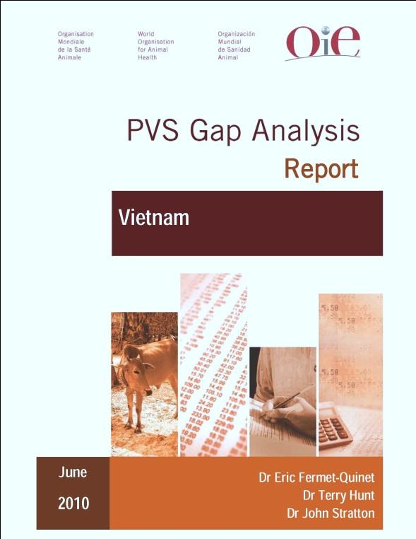 The template is designed to assist DAH along their PVS pathway and specifically the drafting of their VS Roadmap, due for submission to Parliament in October 2010.