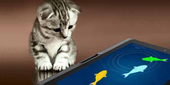 9. Tablet Games d Paint for Cats, $1.