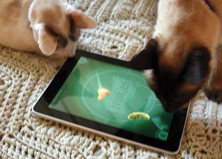With 10 different color palettes to choose from, your cat might turn into a bona fide ipad artist before you know it!