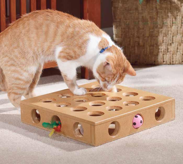 2. Food Puzzles Food puzzles can go a long way towards improving your cat s I.Q.
