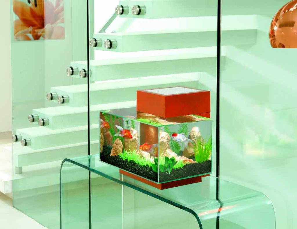 The Fluval EDGE aquarium has been designed for today s lifestyle with