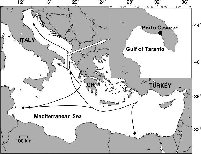 240 CHELONIAN CONSERVATION AND BIOLOGY, Volume 11, Number 2 2012 Figure 1. Study area (top right box) in the Mediterranean context.