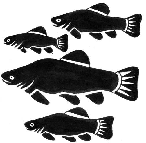 black; the fish is
