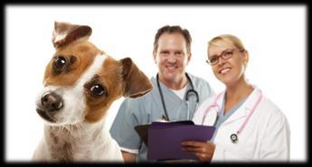 Scenario 4: Consumer Viewpoint Not appealing to the consumer that wants the Mom& Pop Single- doctor practice feel Many consumers have a negative opinion of corporate veterinary practice via