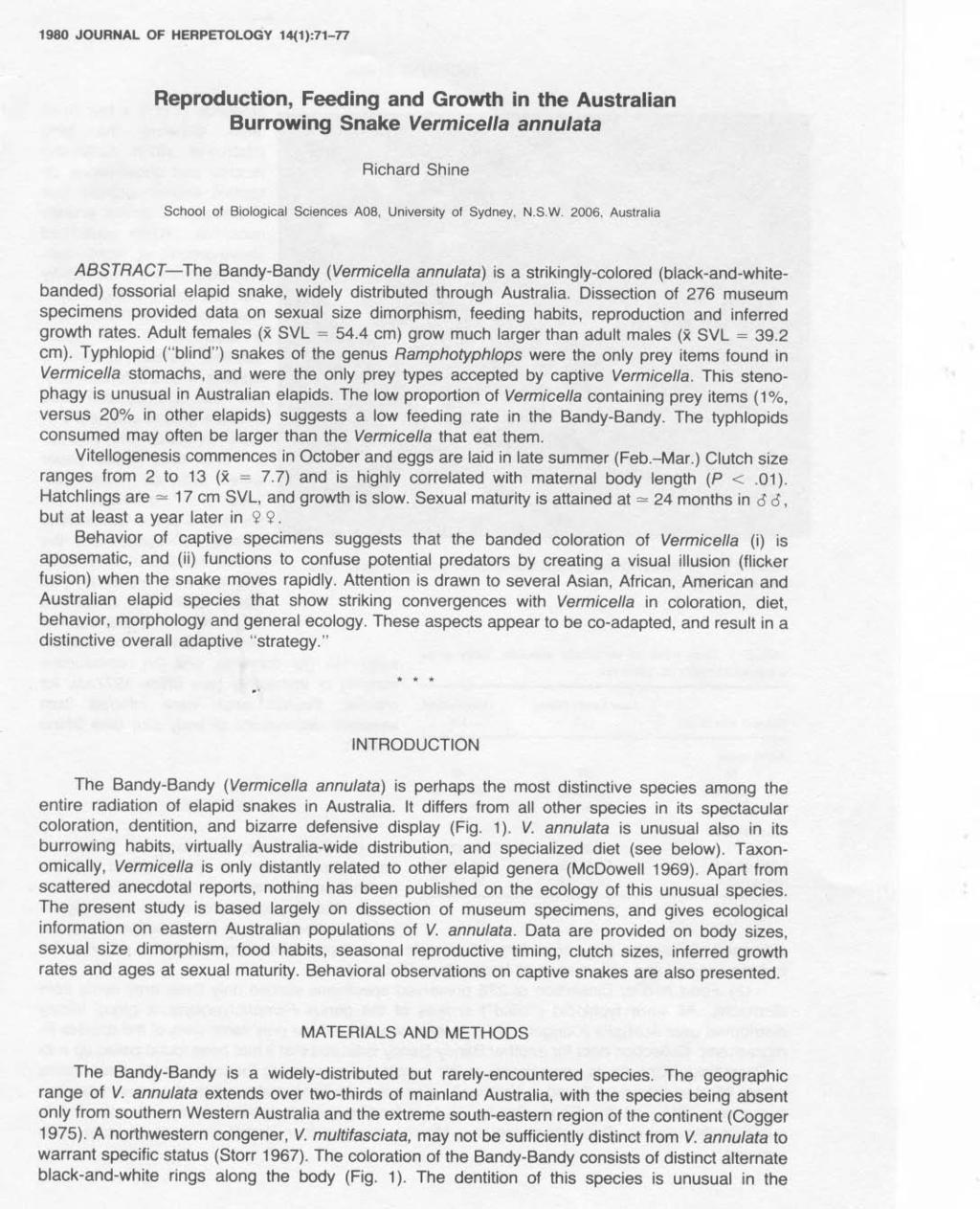 1980 JOURNAL OF HERPETOLOGY 14(1):71-77 Reproduction, Feeding and Growth in the Australian Burrowing Snake Vermicella annulata Richard Shine School of Biological Sciences A08, University of Sydney,