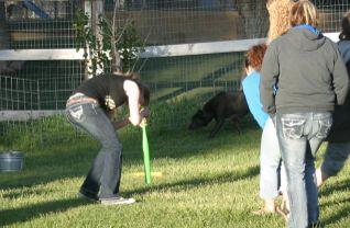 One thing was certain at the end of the party, Cottonwood Kennels has a great team of people to take care of your little ones.
