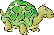 Turtle example Step 1: Draw a line >>> import