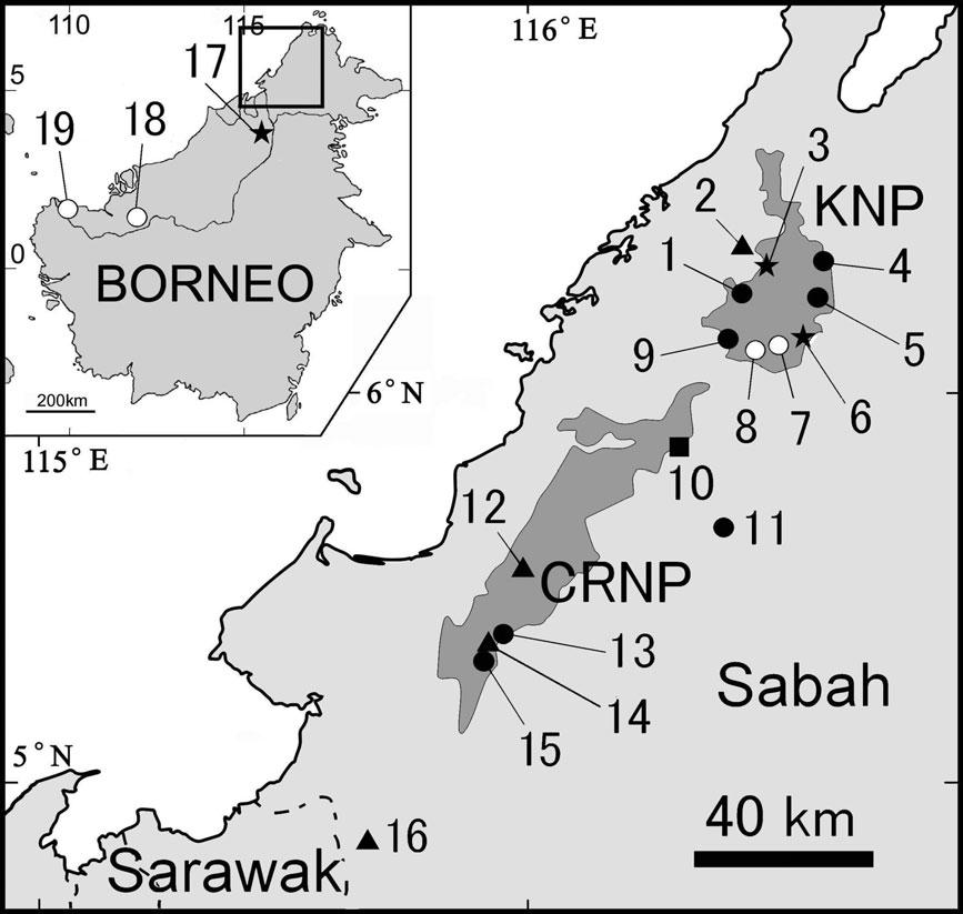A TAXONOMIC STUDY OF MERISTOGENYS WHITEHEADI 159 Figure 1. Map of Borneo showing the localities where sampling of Meristogenys cf.