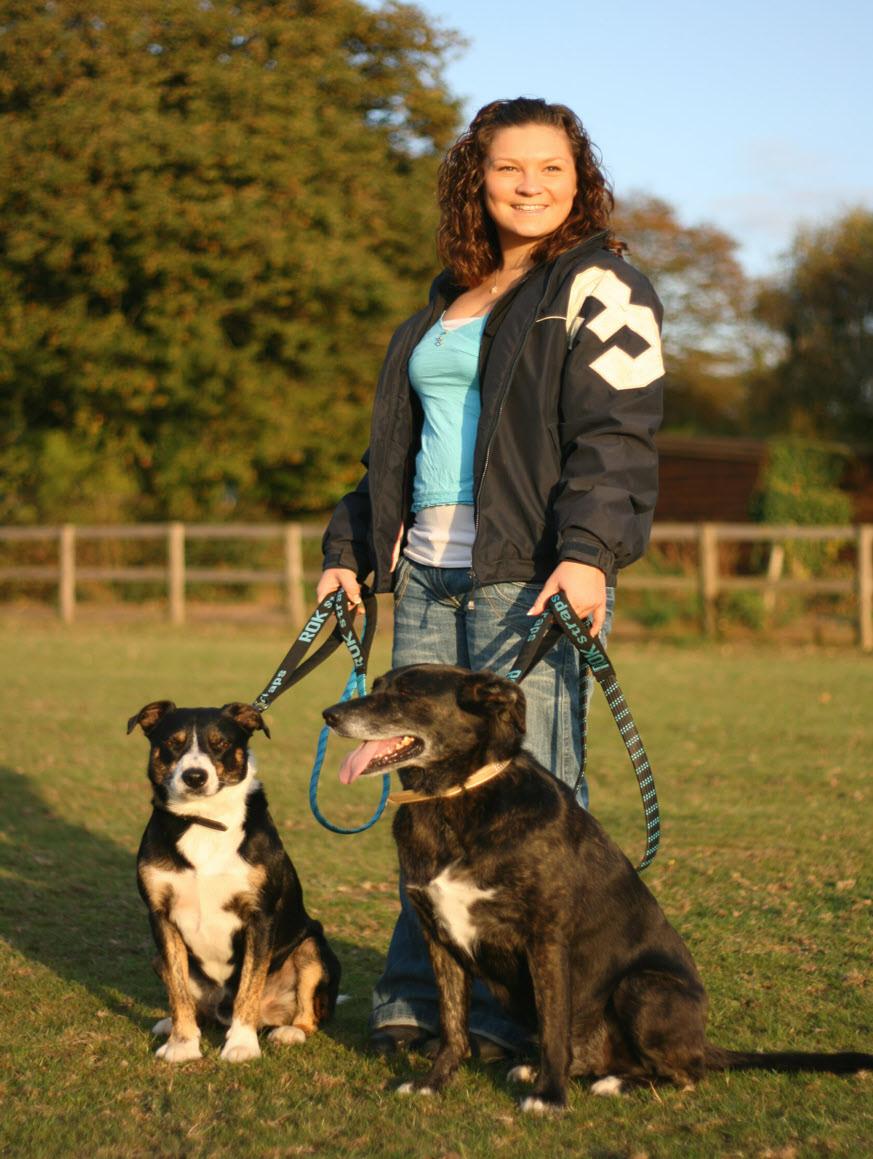 Your local ROK - Lead Stockist:- REF A great range to suit every dog!